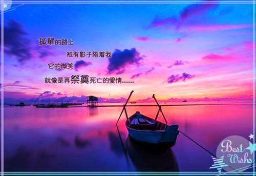 解剖我时，他找到了我的婚戒程澄陆林小说全集免费试读