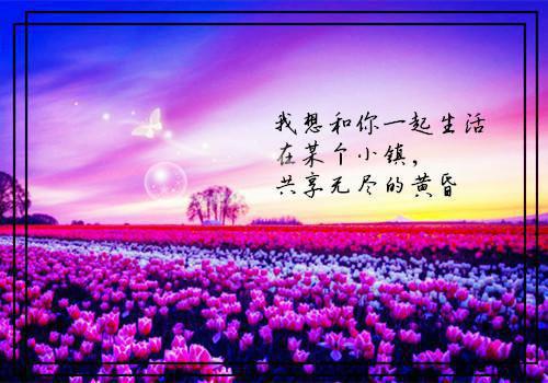 全本小说穆华舒傅言司by陈疏月免费阅读
