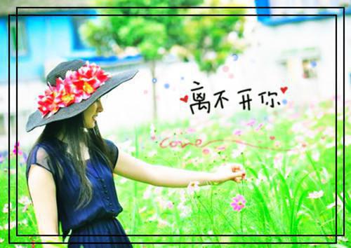 温云霜周淮琛全文温云霜周淮琛完结版免费小说全文阅读