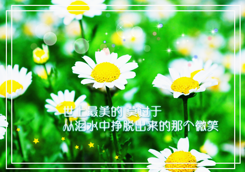 致命惊艳「免费小说」李雪方城大结局阅读