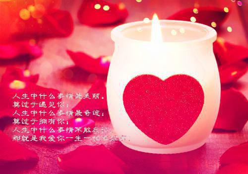火爆小说为了白月光,她拿走我第二个肾张宇免费阅读