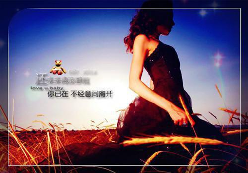 逐阳易尔花免费阅读易尔花逐阳小说全集免费试读