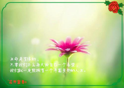 销售白酒正能量唯美句子