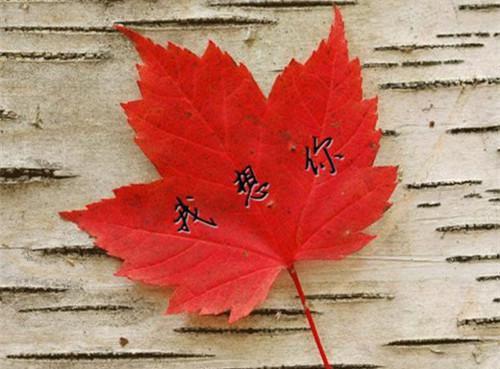 叶峰（震世天王）全文免费阅读无弹窗_震世天王最新小说（震世天王）
