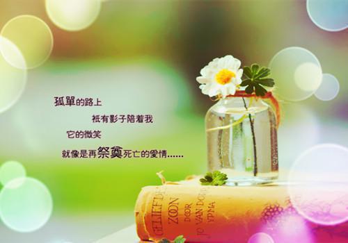 小说林落晩萧鹤川主角为林落晩萧鹤川免费阅读