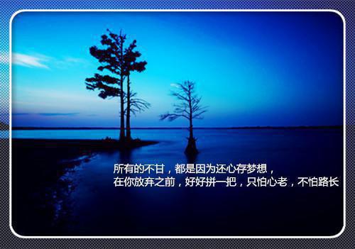 甜圈念想沈鹤秦愿小说全文免费沈鹤秦愿读无弹窗大结局_(甜圈念想沈鹤秦愿)沈鹤秦愿最新章节列表（甜圈念想沈鹤秦愿）