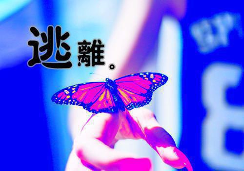 浪子回头：我的手机能预知未来刘正阳小说全本完结版免费阅读