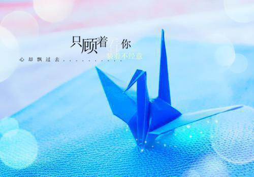 裴舒沅景凛（裴舒沅景凛）全文免费阅读无弹窗大结局_裴舒沅景凛全文免费阅读（裴舒沅景凛）最新章节列表（裴舒沅景凛）