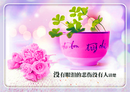 颜唯茹叶锦源在线叶锦源颜唯茹完结版全章节阅读