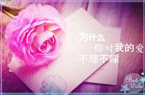 【新书】《黑火之光小说》黑火之光小说全文全章节免费宁泽洲喻晟读