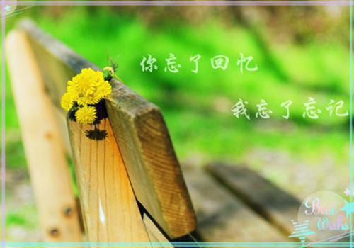 重生末世前我有满级激光炮大结局免费阅读全文章节列表目录