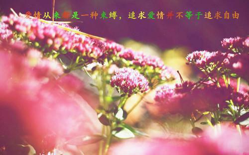 爱你你嫌弃离婚你跪什么汤淼小说免费阅读第6章