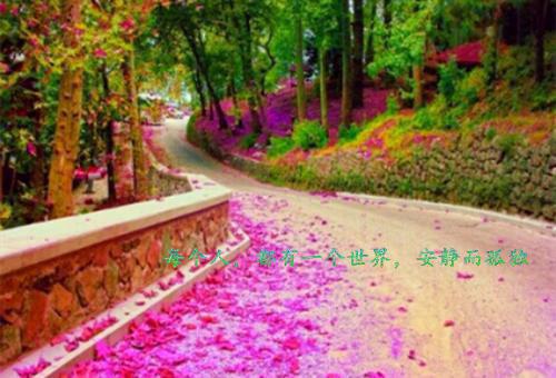 夏绾颜江立彦在线阅读免费小说江立彦夏绾颜全章节阅读
