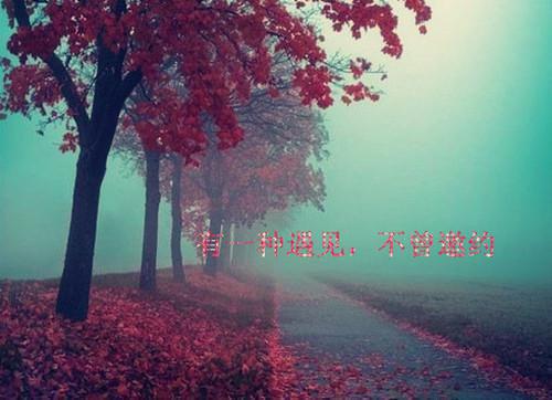 陆绎(于星河璀璨中分离顾清宁在线赏析)全文免费阅读_(于星河璀璨中分离顾清宁在线赏析)陆绎最新章节列表(于星河璀璨中分离顾清宁在线赏析)