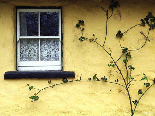 永不再爱的誓言:结局+番外(沈小风齐佳音谢林)全文免费永不再爱的誓言:结局+番外无弹窗大结局_(永不再爱的誓言:结局+番外)沈小风齐佳音谢林免费读全文大结局)最新章节列表永不再爱的誓言:结局+番外