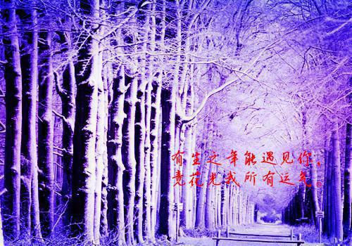 【荒唐无度完整版】塞北大刀小说最新章节1阅读