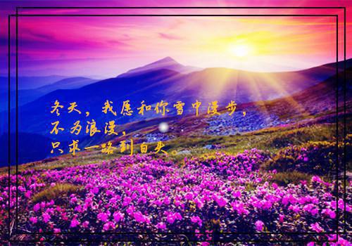 我跨过时间洪流结局+番外(姜初夏江暮洲)全文免费阅读无弹窗大结局_(我跨过时间洪流结局+番外)最新章节列表(姜初夏江暮洲)
