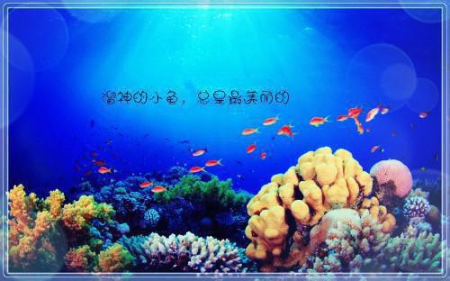 金木守护小说(林悦薇姜繁星)什么小说 金木守护小说热门小说更新林悦薇姜繁星