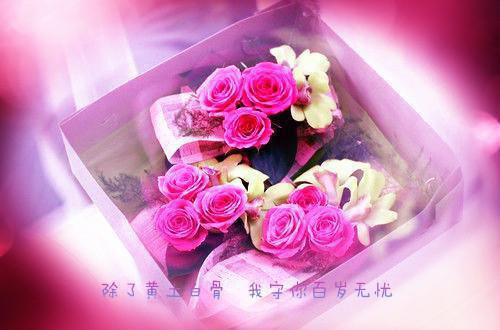 白歌邵源免费阅读《幻想神话》最新章节5阅读