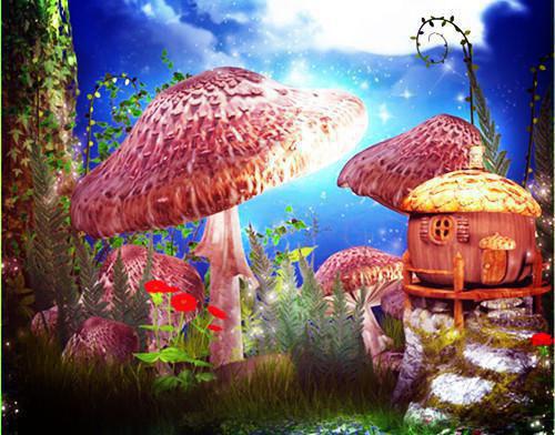 小说恶毒千金觉醒后第3章精选阅读