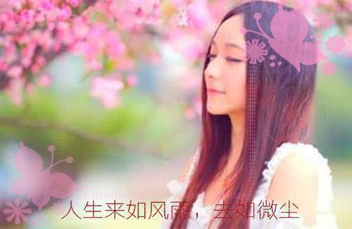 【热门】爱恨决绝，大悟无言：结局+番外（沈澈陆明月夏希泽）完整版免费阅读无弹窗_爱恨决绝，大悟无言：结局+番外最新章节列表（沈澈陆明月夏希泽）