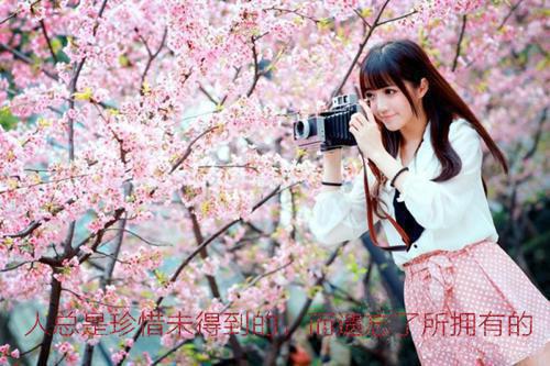 全本重生后代妹和亲，驸马却急红了眼：+后续（楚照雪裴时安）最新章节列表_全重生后代妹和亲，驸马却急红了眼：+后续全文阅读