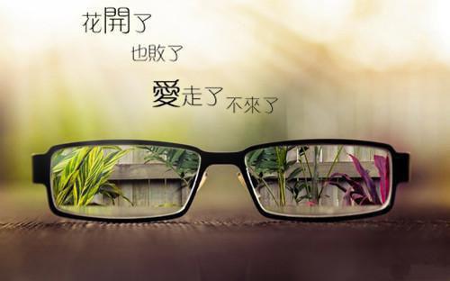 (番外)+(全文)离开你的浪漫春天：结局+番外（陆之颐叶书禾）全文免费阅读无弹窗大结局_（离开你的浪漫春天：结局+番外免费阅读全文大结局）最新章节列表（离开你的浪漫春天：结局+番外）