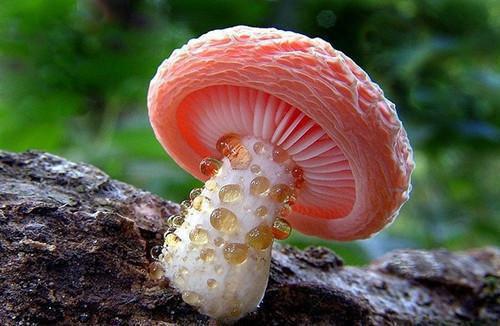 都说,林夫人,陆夫人旧年明月不可追免费小说全文免费阅读_都说,林夫人,陆夫人（旧年明月不可追免费）最新章节列表