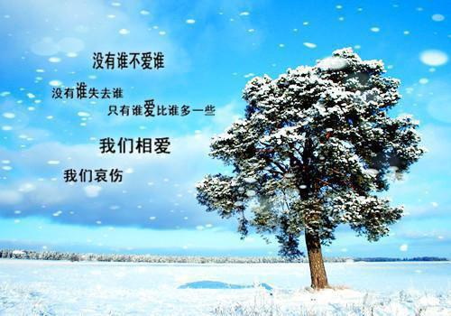 热文（许忘许晚晚）美文许忘许晚晚读_热门小说重生干翻绿茶假千金许忘许晚晚最新章节