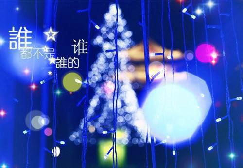 岑宁陆晋「免费小说」【请阅小说】最新章节阅读