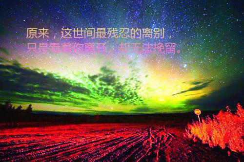 未婚夫踢死我的狗完结版小说_黎晚晚苏至昱全文阅读