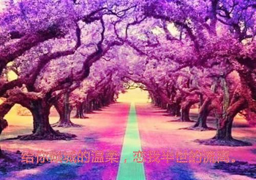 (番外)+(结局)残阳落幕，爱恨沉海：结局+番外（安馨祁战）完整全文在线阅读_(残阳落幕，爱恨沉海：结局+番外)最新章节列表（安馨祁战）