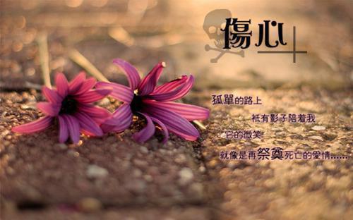 苏怡顾司野苏怡顾司野完结版免费小说全文阅读