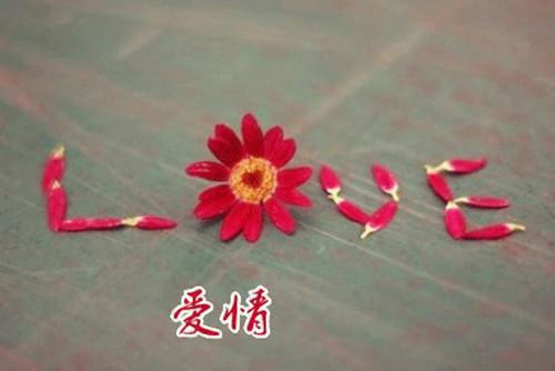 满级献祭小说全文免费阅读(时心)全文在线时心读无弹窗大结局_(满级献祭小说时心)满级献祭小说在线时心读无弹窗最新章节列表(时心)