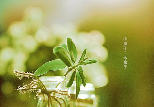 姜屿全文免费阅读（冰山怪圈）全文在线姜屿读无弹窗大结局_(姜屿冰山怪圈小说在线姜屿读)最新章节列表（姜屿）
