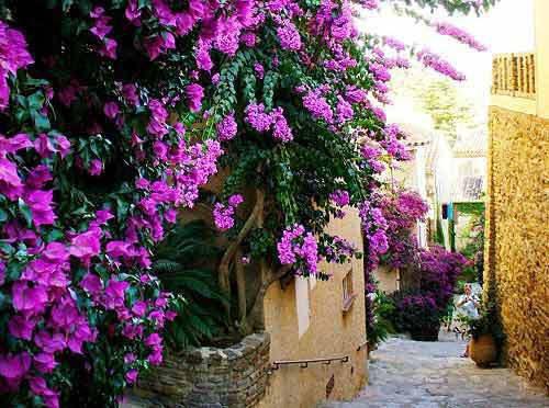 (程舟白俞思晚:全文+后续)全集免费(程舟白俞思晚)全文免费阅读无弹窗大结局_程舟白俞思晚:全文+后续最新章节列表程舟白俞思晚