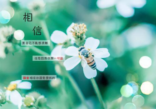 路且莉奥拉全文免费阅读(微甜习俗小说)全文免费路且莉奥拉读无弹窗大结局_ 小说路且莉奥拉全文免费路且莉奥拉读最新章节列表（微甜习俗小说）