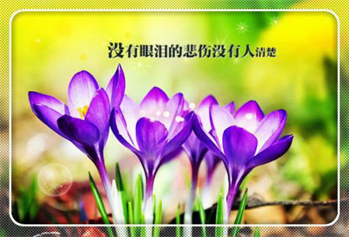 (番外)+(结局)江妄舟宋枝雪（一梦重生,与君长念:结局+番外）全文免费阅读无弹窗大结局_(江妄舟宋枝雪)最新章节列表（一梦重生,与君长念:结局+番外）