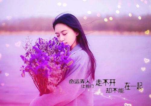 冰山禁止全文免费王小红蔺霜苏若妍读无弹窗大结局_（沈肆程苒林冰山禁止妍）冰山禁止最新章节列表（王小红蔺霜苏若妍）