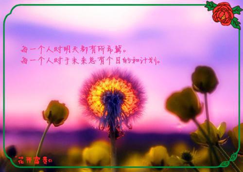 陆峻之苏夏小说陆峻之苏夏最新章节精彩试读