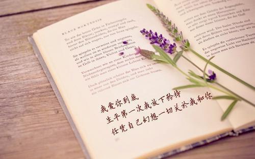 前妻下落不明,渣总夜夜发疯岑烟贺南屿：结局+番外（岑烟贺南屿：结局+番外）完结阅读无弹窗大结局_(岑烟贺南屿)最新章节列表（前妻下落不明,渣总夜夜发疯：结局+番外）