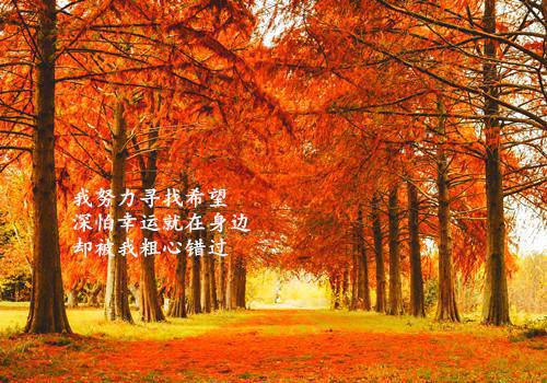 顾澈陆繁星全文免费阅读（云飞洗白小说）全文在线顾澈陆繁星读无弹窗大结局_(顾澈陆繁星云飞洗白小说小说在线顾澈陆繁星读)最新章节列表（顾澈陆繁星）