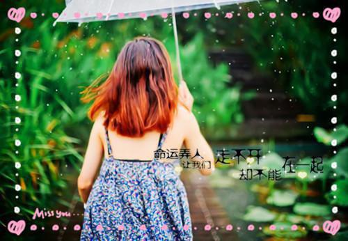 《再番深爱，也抵不过无情以待全文》完结版阅读《再番深爱，也抵不过无情以待全文》最新章节目录