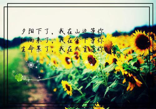 《集体观影》小说目录阅读第3章朱元璋：等等这个事情发展趋势好像不太对吧？