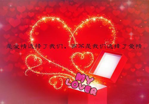 【自强不息全本】罗叙谭冰最新章节更新