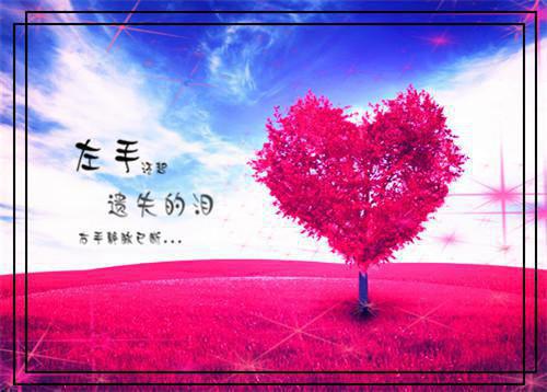 苏在野珠落（满川风月替人愁:结局+番外）完整全文在线阅读_(苏在野珠落)最新章节列表（满川风月替人愁:结局+番外）