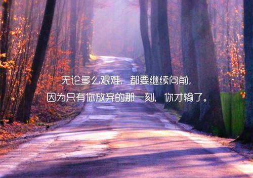 南初赵驰年赵驰年完结版全章节阅读