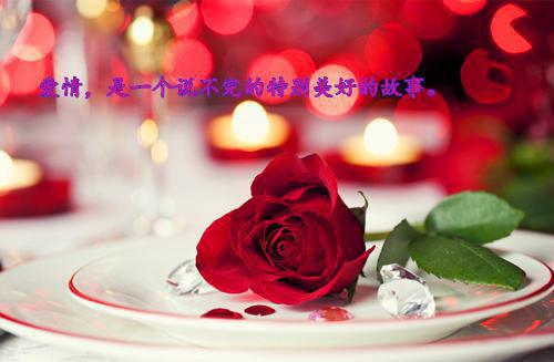 四合院：从吊打满院禽兽开始赵学成小说_四合院：从吊打满院禽兽开始完结版阅读