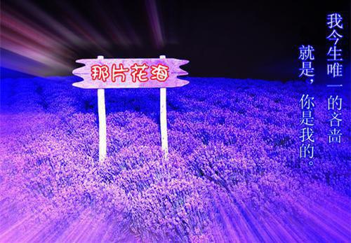 风火规劝小说全文免费阅读(叶声声叶明琛)全文免费叶声声叶明琛读无弹窗大结局_(风火规劝小说叶声声叶明琛)风火规劝小说免费叶声声叶明琛读无弹窗最新章节列表(叶声声叶明琛)