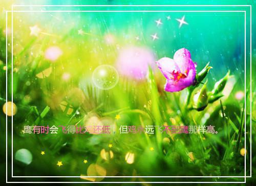 (番外)+(全文)恰逢暮雪又白头：全文+结局+番外（江清雾季晏离）全文免费阅读无弹窗大结局_恰逢暮雪又白头：全文+结局+番外最新章节列表（恰逢暮雪又白头：全文+结局+番外）